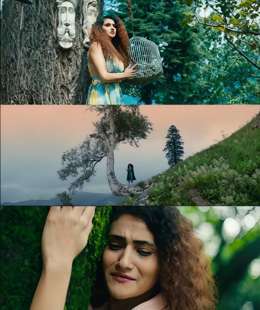 cinematographer in delhi